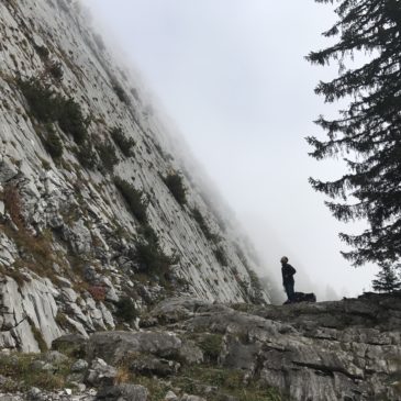 Climbing Brüggler